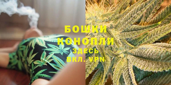 PSILOCYBIN Абаза