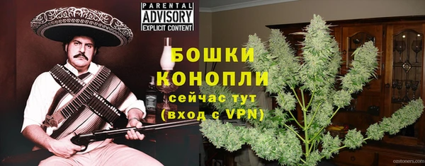 PSILOCYBIN Абаза