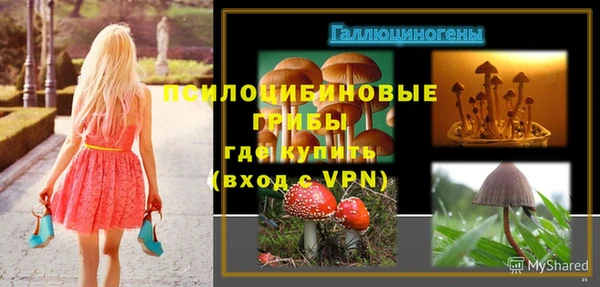 МДПВ Абдулино