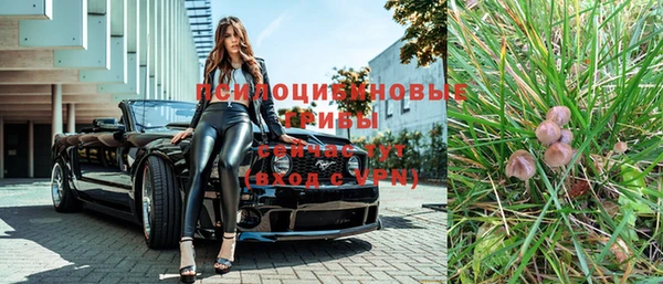 МДПВ Абдулино