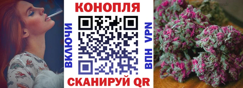 где продают наркотики  Новопавловск  Шишки марихуана тримм 